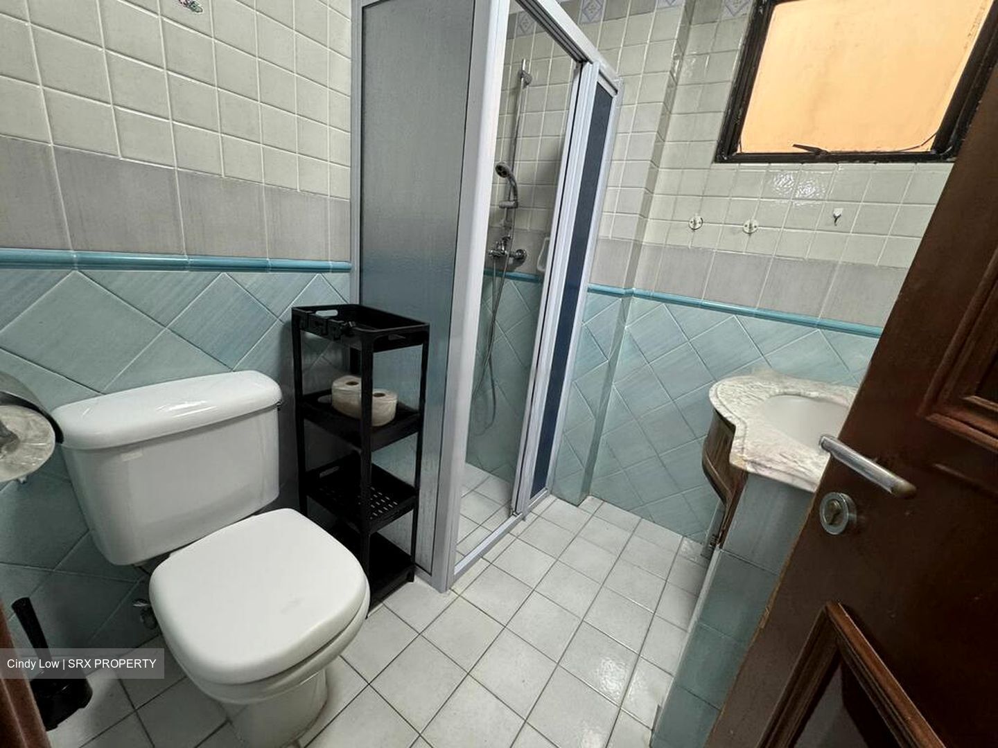 Dover Parkview (D5), Condominium #555384911
